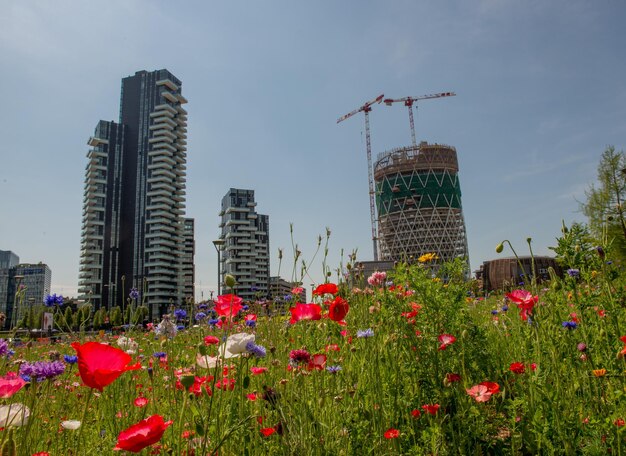 Wolkenkrabbers met bos op de terrassen