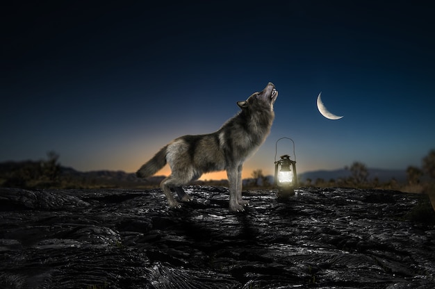 Wolven huilen en halve maan Hoge resolutie Nacht natuur natuur landschap