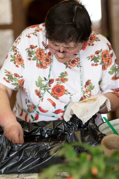 Photo a woman of advanced age sows pepper seeds for seedlings in seedling boxesthere are gardening items