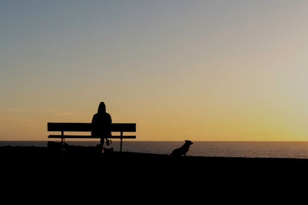 写真 ベンチに座って夕日を見ている女性と彼女の犬。