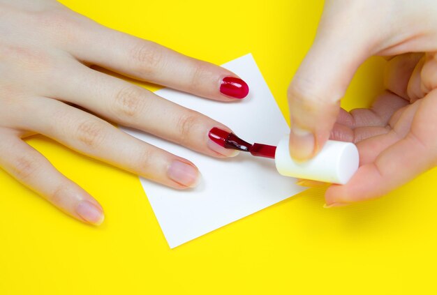 Woman applies red nail polish on the yellow backgroundxagirl\
making a manicure salon procedures at home beautiful hands and\
nails close up macro photo colorful and creative