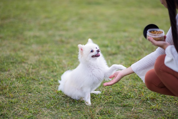 女性が公園でお子を頼んだ