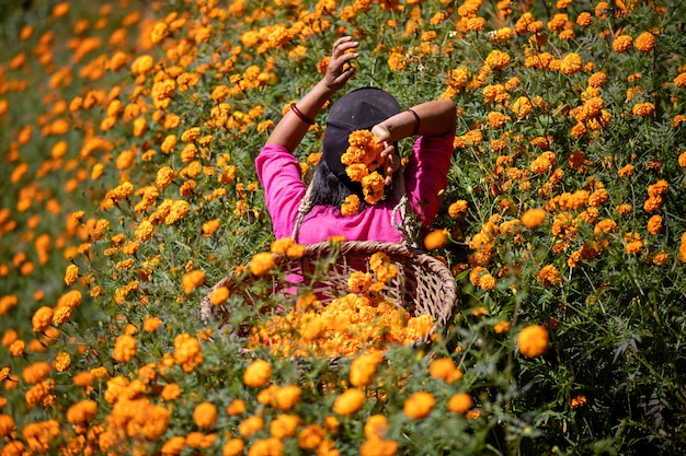 かごの中の女性がオレンジ色の花に囲まれています。