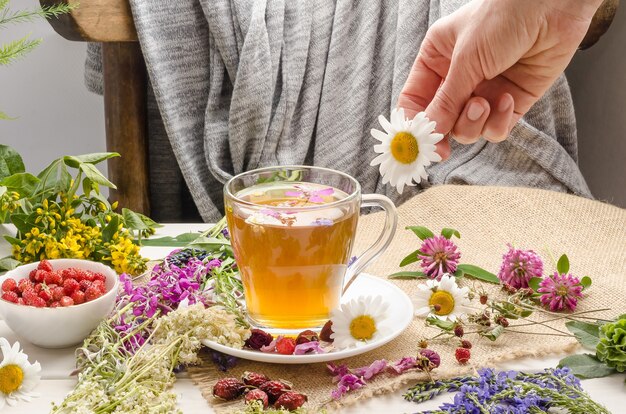 女性がカモミールでハーブティーを淹れます。茶道。ワイルドローズとクローバーのお茶