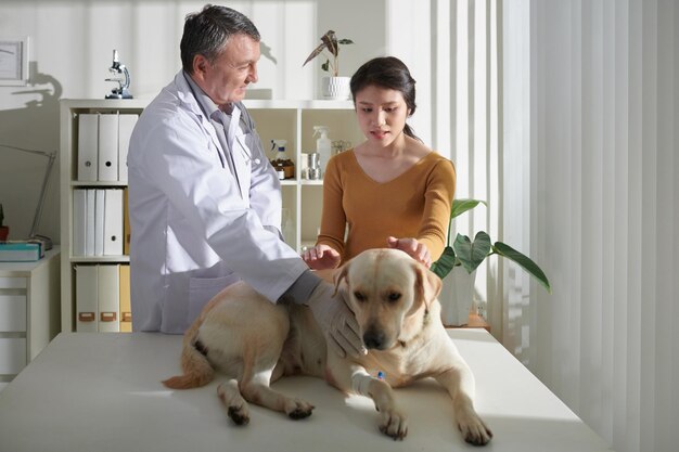 Woman Bringing Dog to Veterinarian