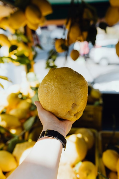 Женщина покупает свежий лимон на рынке