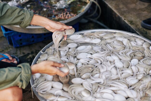 Woman buying fresh octopuses