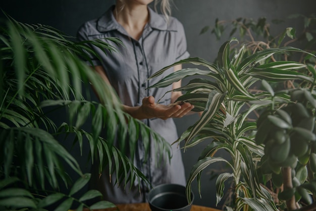 Woman caring for home plants