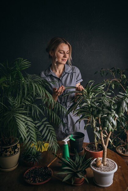 Photo woman caring for home plants