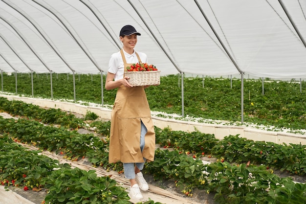 온실에서 잘 익은 딸기 바구니를 들고 여자