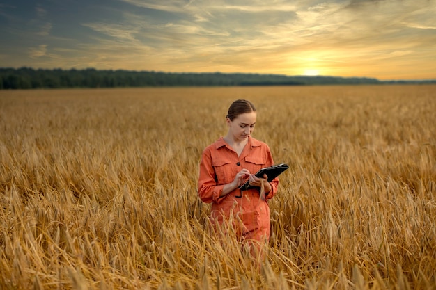 日没時に農業用作物の成長をチェックする小麦畑の女性白人技術者農学者。農業と収穫の概念。