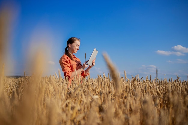 Woman caucasian technologist agronomist with tablet computer in the field of wheat checking quality and growth of crops for agriculture Agriculture and harvesting concept