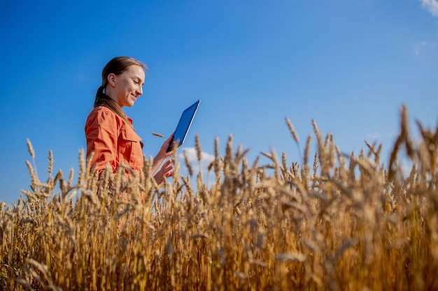 農業のための作物の品質と成長をチェックする小麦の分野でタブレットコンピューターを持つ女性の白人技術者農業者農業と収穫の概念