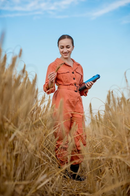 小麦の分野でタブレットコンピューターを使用して農業用作物の品質と成長をチェックしている白人女性の技術者農業者。小麦試験の概念