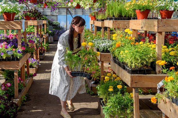 Woman chooses beautiful flowers in a garden center for planting on her garden plot