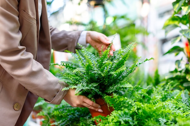 Woman choosing potted plants. Nephrolepis fern for her home/apartment in a greenhouse or flower store, selective soft focus.