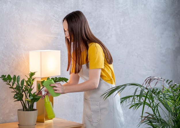 Woman cleaning green leaves for her plants at home Asian woman care her plants at home Home gardening