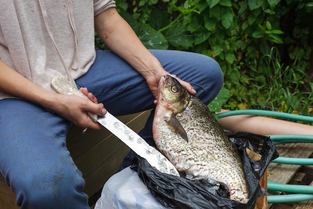 Woman cleans a huge fish Bream on cutting board