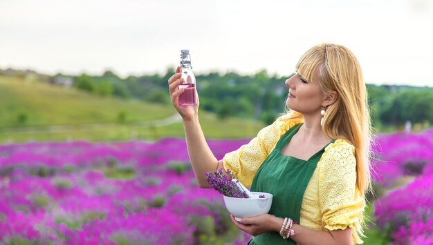 A woman collects lavender for essential oil Selective focus