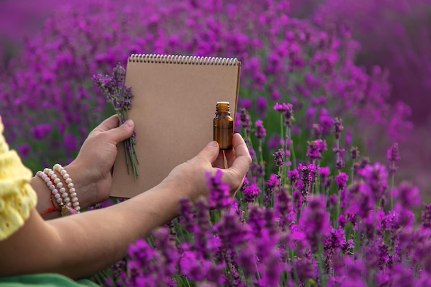 女性がエッセンシャルオイルのためにラベンダーの花を集める選択的な焦点