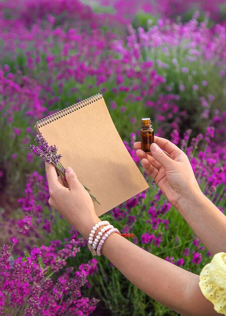 女性がエッセンシャルオイルのためにラベンダーの花を集める選択的な焦点