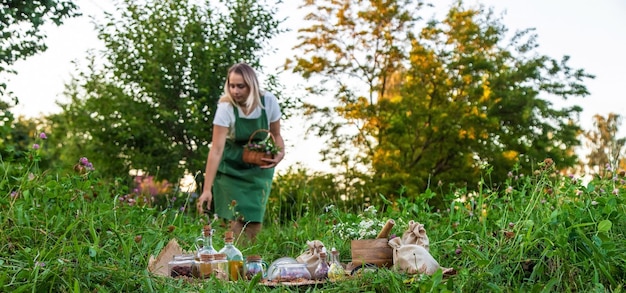 A woman collects medicinal herbs Selective focus Nature