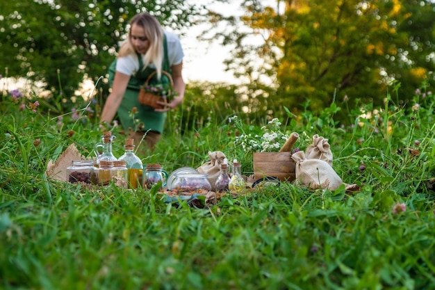 Photo a woman collects medicinal herbs selective focus nature