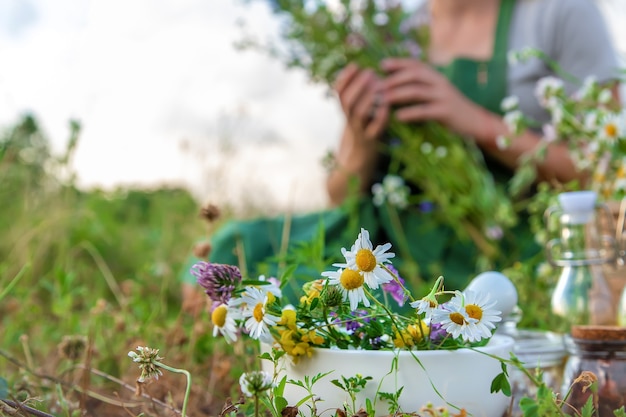 The woman collects medicinal herbs. Selective focus. Nature.