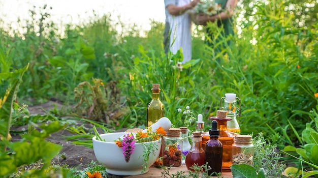 A woman collects medicinal herbs Selective focus