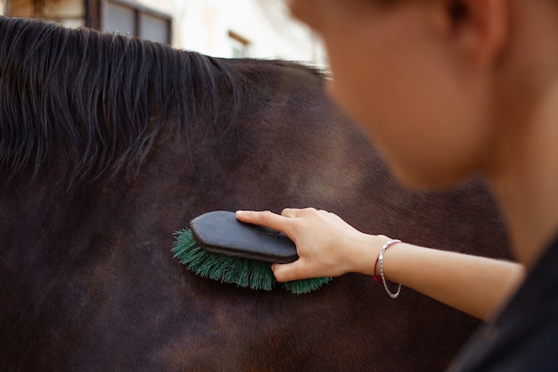 A woman combs and cleans a horse of dirt with a big brush