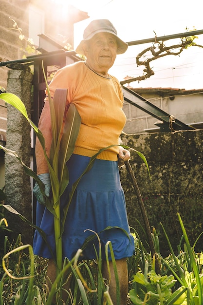 Photo woman and corn in the garden