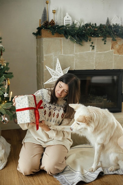 スタイリッシュなクリスマス ツリーと暖炉の背景にかわいい白い犬とクリスマス ギフトを開ける居心地の良いセーターを着た女性冬休みお祝い部屋で祝うペットを持つ飼い主メリー クリスマス