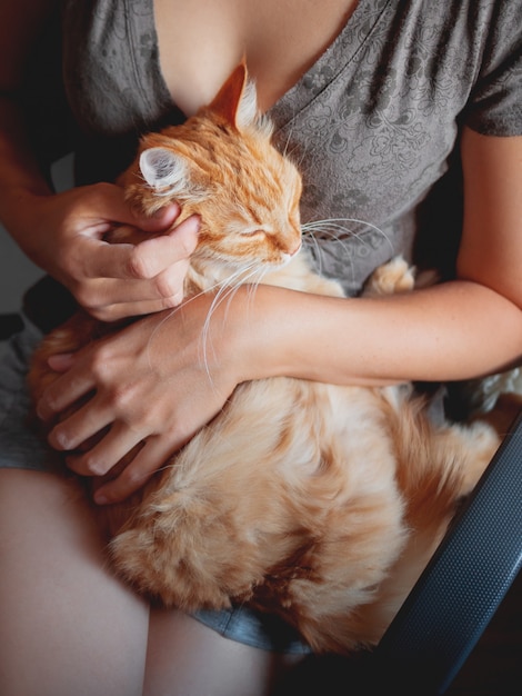 Woman cuddles het cute ginger cat