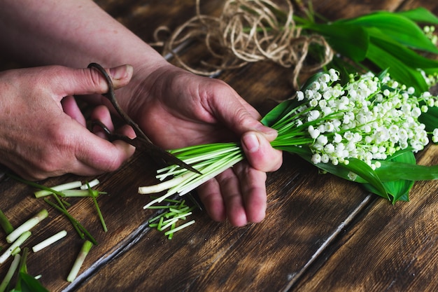 Woman cuts a bouquet of lilies of the valley.