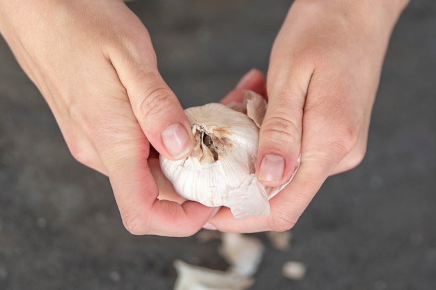 A woman cuts garlic with a knife closeup cutting garlic for salad or as an aromatic spice for meat