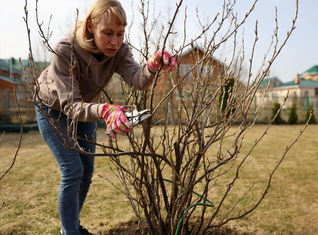 A woman cuts off shrubs with a secateur spring cleaning