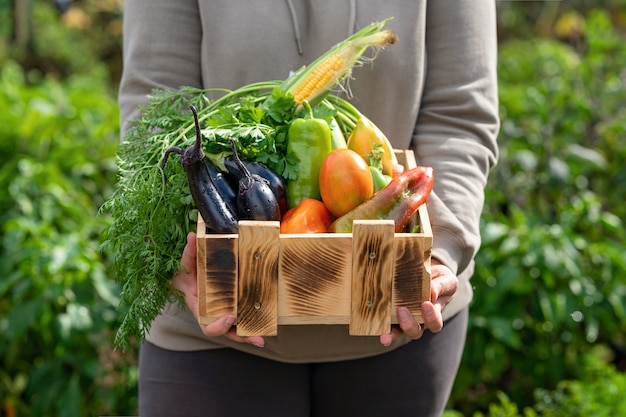 Woman demonstrating wooden crate with various vegetables Picking vegetables concept