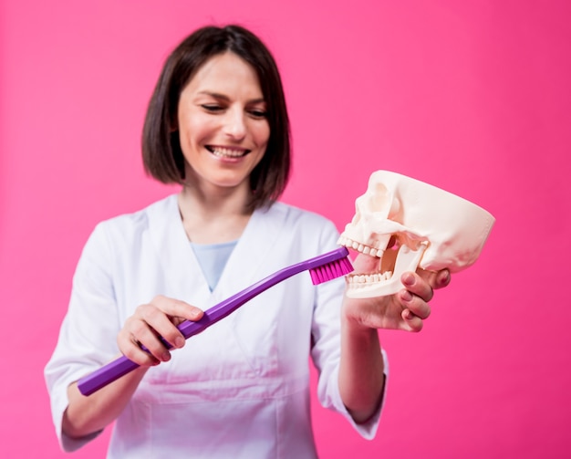 Woman dentist brushing teeth of an artificial skull using a large toothbrush