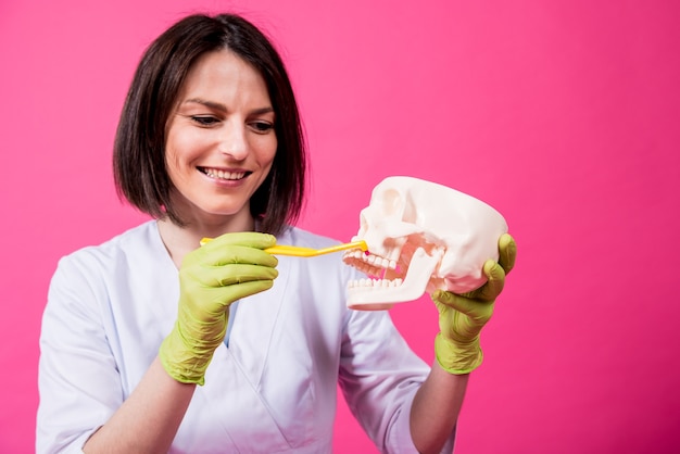 Woman dentist brushing teeth of an artificial skull using a single tufted toothbrush