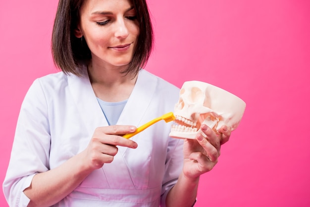 Dentista donna che lava i denti di un teschio artificiale usando un singolo spazzolino trapuntato