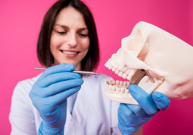 Woman dentist examines the oral cavity of the artificial skull with sterile dental instruments