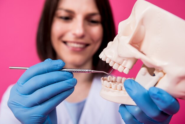 Woman dentist examines the oral cavity of the artificial skull with sterile dental instruments