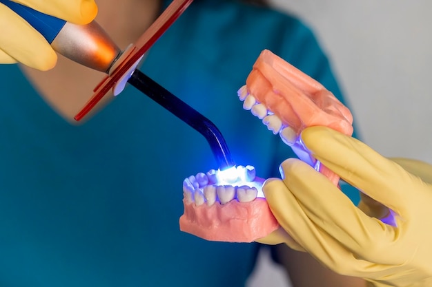 Женщина-дантист держит зубные протезы в руках и инструментах