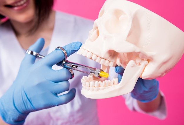 카풀 주사기를 가진 여성 치과의사는 인공 두개골의 잇몸에 마취제를 주입합니다