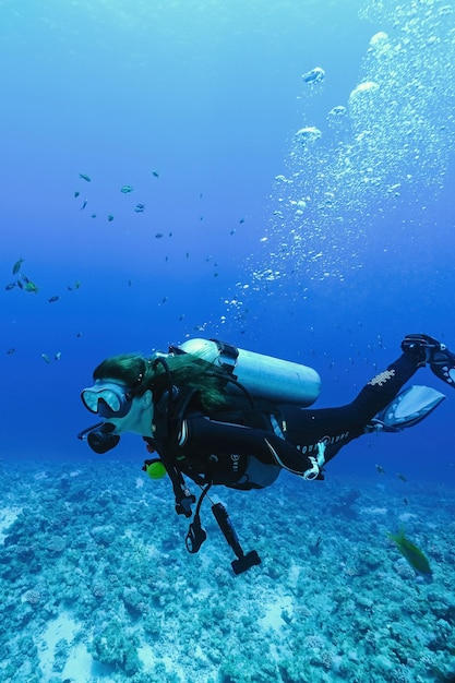 Photo woman diver in sun rays with corals on background in egypt