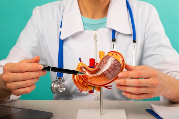 Photo woman doctor pointing at stomach mockup