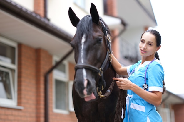 Женщина-врач-ветеринар со стетоскопом исследует коричневую лошадь