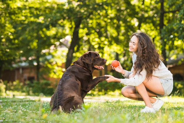 Donna e cane che giocano con la palla nel parco