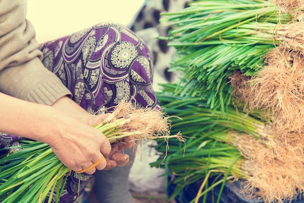 Woman doing sheaf of green onions