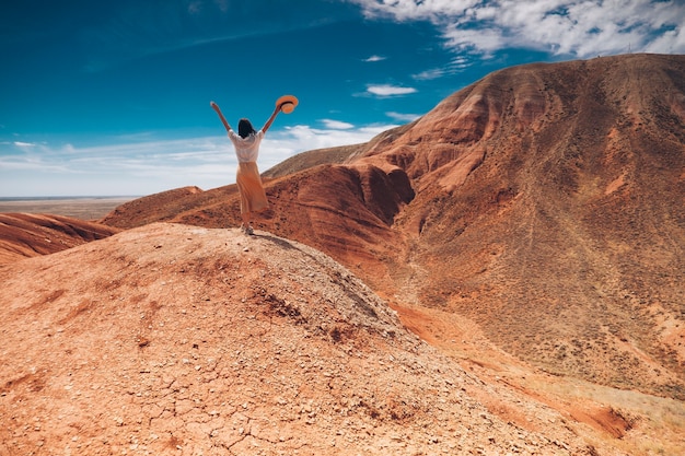 A woman in a dress on top of the mountains from the back.